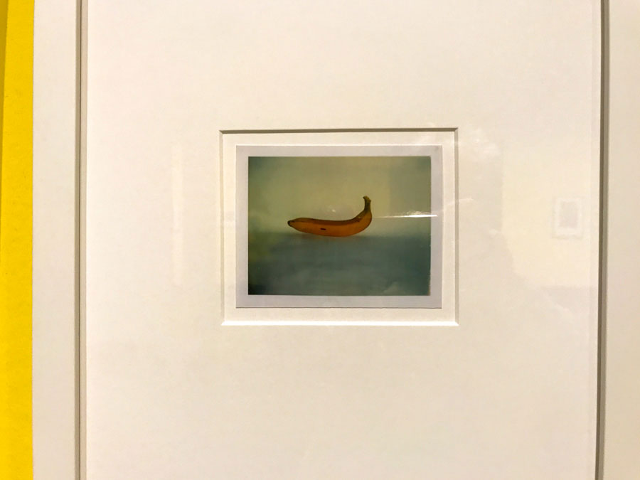Andy Warhol - banane - Photo Didier Laget