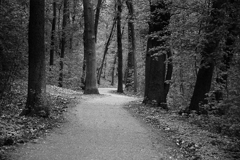 foret A berlin - Photo copyright Didier Laget
